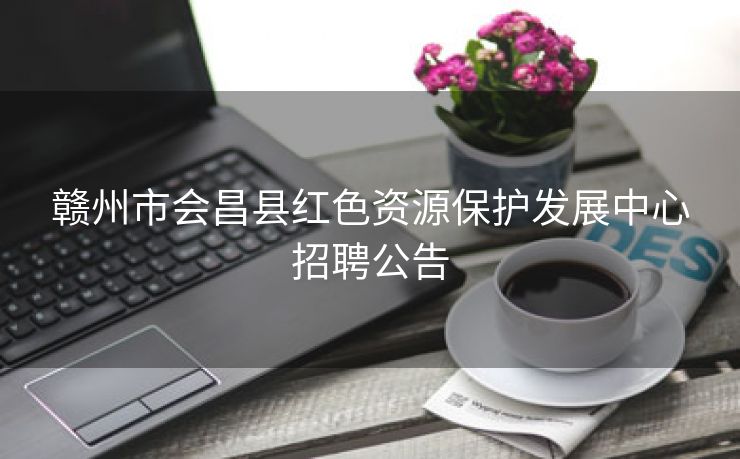 赣州市会昌县红色资源保护发展中心招聘公告