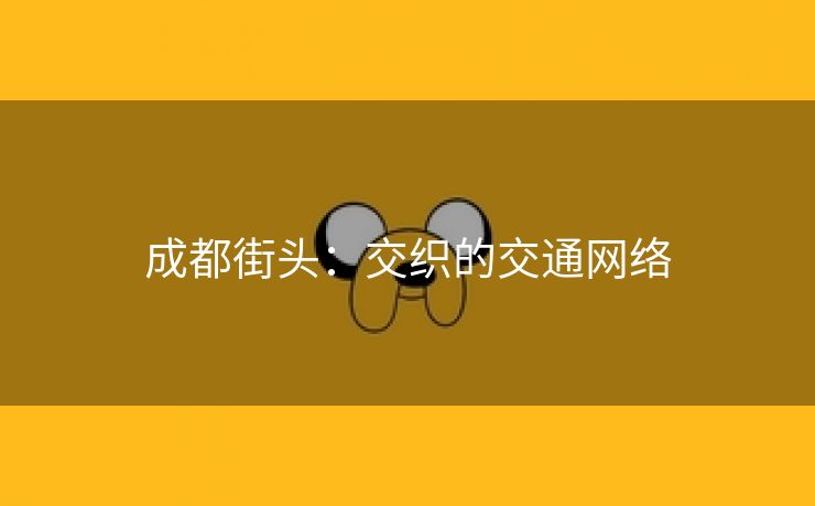 成都街头：交织的交通网络