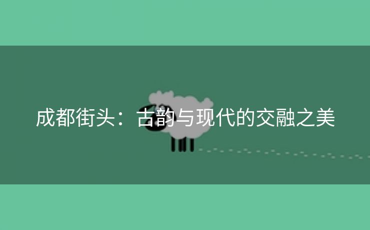 成都街头：古韵与现代的交融之美