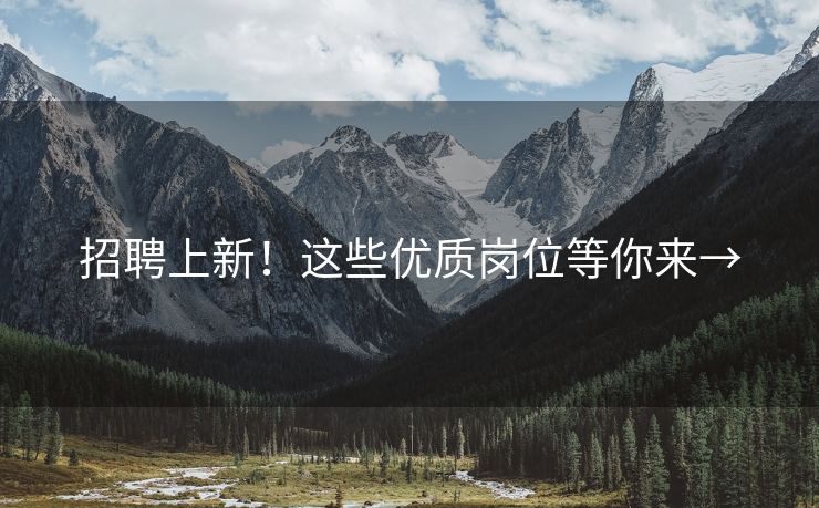 招聘上新！这些优质岗位等你来→