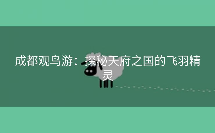成都观鸟游：探秘天府之国的飞羽精灵
