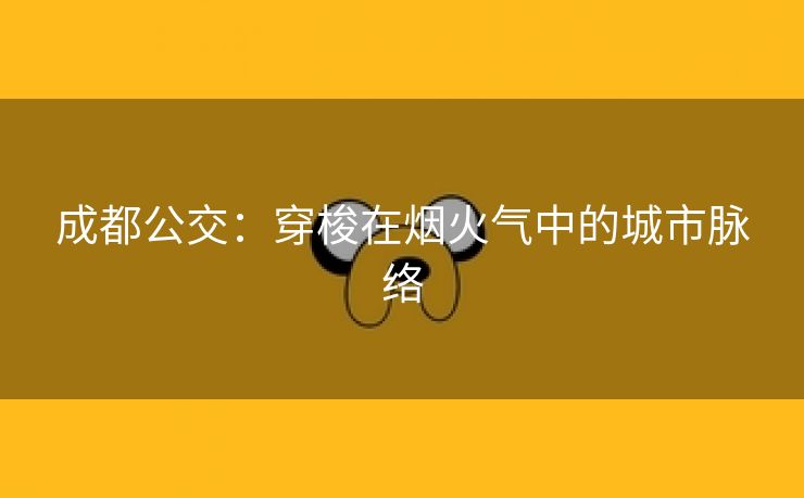 成都公交：穿梭在烟火气中的城市脉络