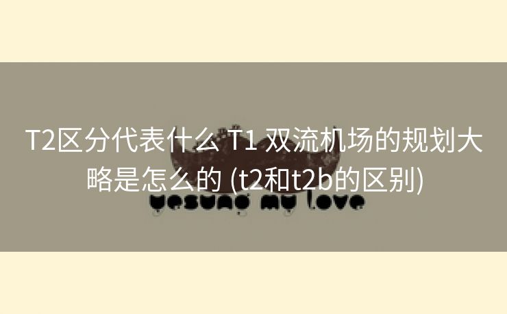 T2区分代表什么 T1 双流机场的规划大略是怎么的 (t2和t2b的区别)