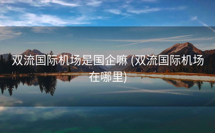 双流国际机场是国企嘛 (双流国际机场在哪里)