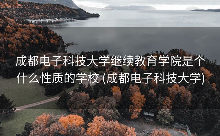 成都电子科技大学继续教育学院是个什么性质的学校 (成都电子科技大学)