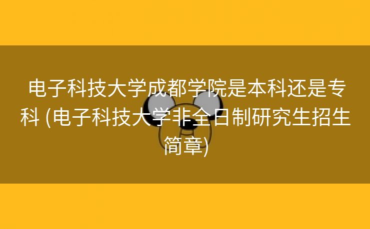 电子科技大学成都学院是本科还是专科 (电子科技大学非全日制研究生招生简章)