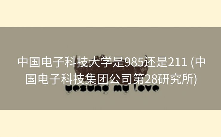中国电子科技大学是985还是211 (中国电子科技集团公司第28研究所)