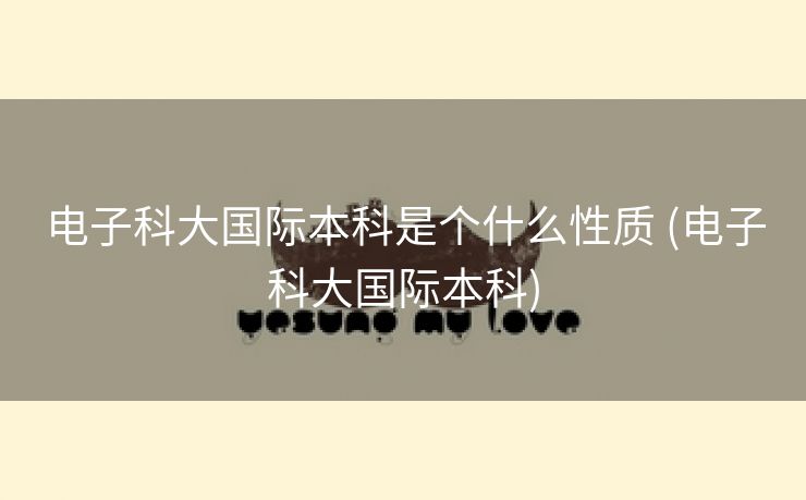 电子科大国际本科是个什么性质 (电子科大国际本科)