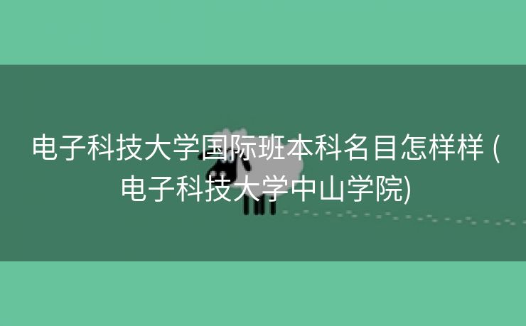 电子科技大学国际班本科名目怎样样 (电子科技大学中山学院)
