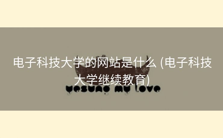 电子科技大学的网站是什么 (电子科技大学继续教育)