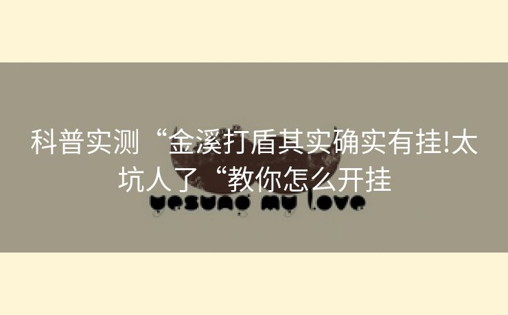 科普实测“金溪打盾其实确实有挂!太坑人了“教你怎么开挂