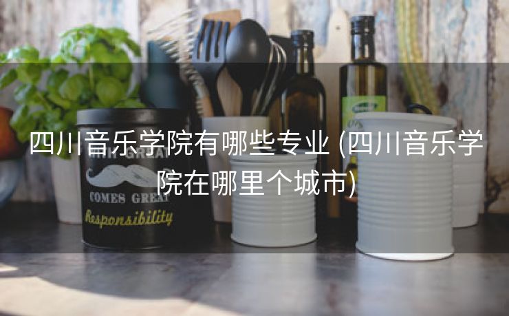 四川音乐学院有哪些专业 (四川音乐学院在哪里个城市)
