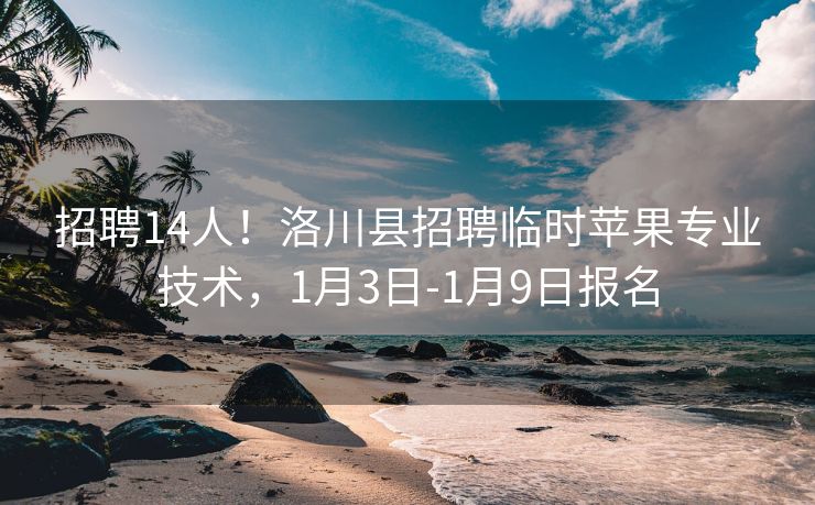 招聘14人！洛川县招聘临时苹果专业技术，1月3日-1月9日报名