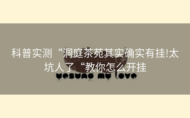 科普实测“洞庭茶苑其实确实有挂!太坑人了“教你怎么开挂