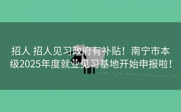 招人 招人见习政府有补贴！南宁市本级2025年度就业见习基地开始申报啦！