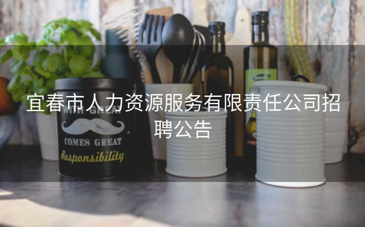 宜春市人力资源服务有限责任公司招聘公告