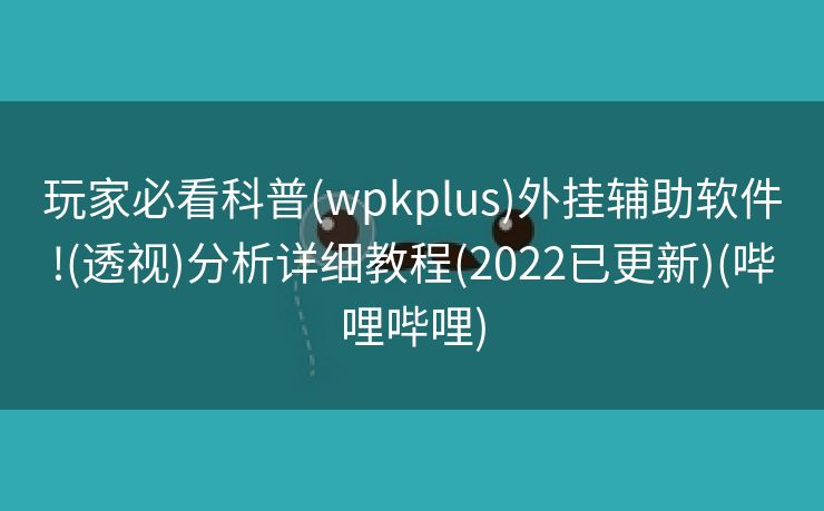 玩家必看科普(wpkplus)外挂辅助软件!(透视)分析详细教程(2022已更新)(哔哩哔哩)