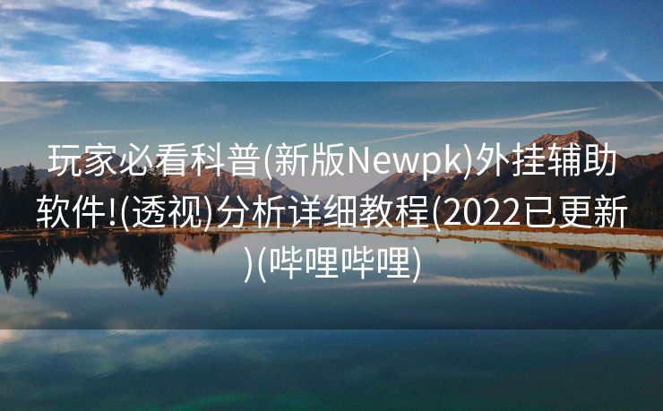 玩家必看科普(新版Newpk)外挂辅助软件!(透视)分析详细教程(2022已更新)(哔哩哔哩)