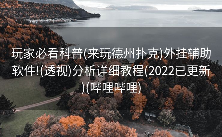 玩家必看科普(来玩德州扑克)外挂辅助软件!(透视)分析详细教程(2022已更新)(哔哩哔哩)