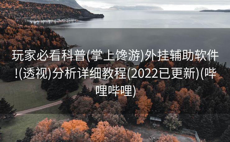 玩家必看科普(掌上馋游)外挂辅助软件!(透视)分析详细教程(2022已更新)(哔哩哔哩)