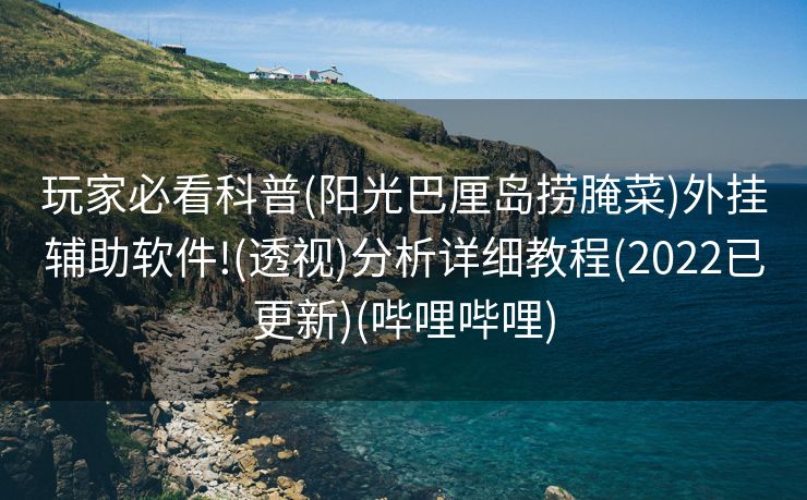 玩家必看科普(阳光巴厘岛捞腌菜)外挂辅助软件!(透视)分析详细教程(2022已更新)(哔哩哔哩)
