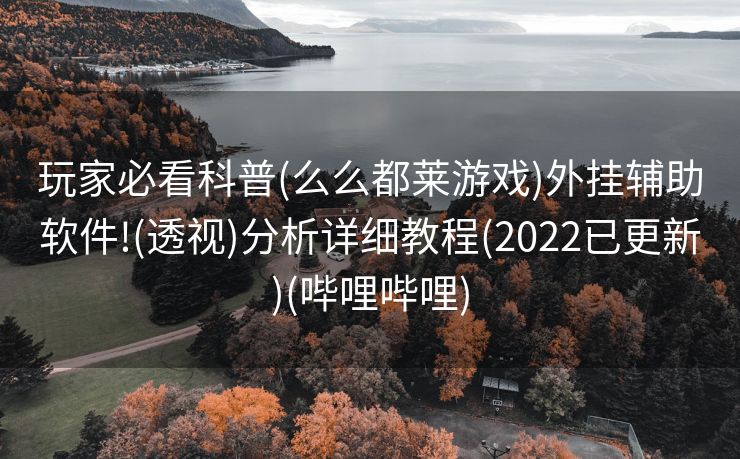 玩家必看科普(么么都莱游戏)外挂辅助软件!(透视)分析详细教程(2022已更新)(哔哩哔哩)