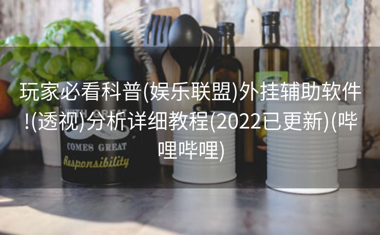 玩家必看科普(娱乐联盟)外挂辅助软件!(透视)分析详细教程(2022已更新)(哔哩哔哩)