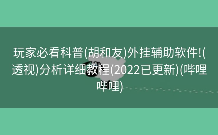 玩家必看科普(胡和友)外挂辅助软件!(透视)分析详细教程(2022已更新)(哔哩哔哩)