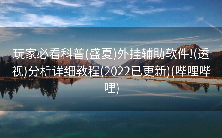 玩家必看科普(盛夏)外挂辅助软件!(透视)分析详细教程(2022已更新)(哔哩哔哩)