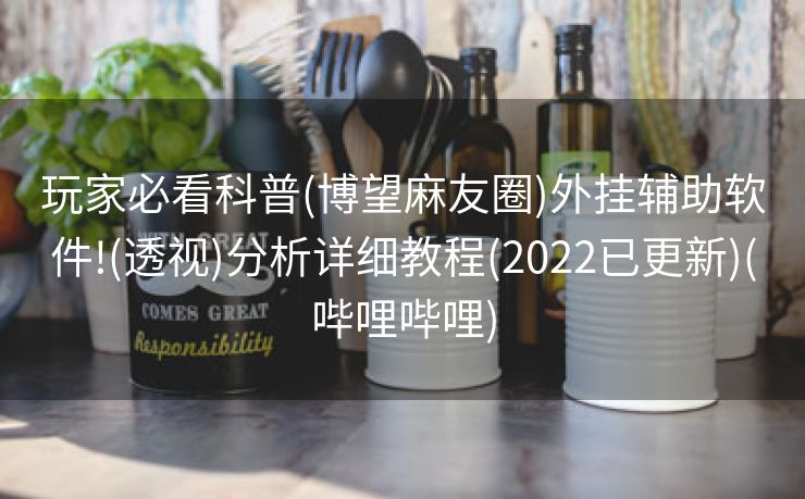 玩家必看科普(博望麻友圈)外挂辅助软件!(透视)分析详细教程(2022已更新)(哔哩哔哩)