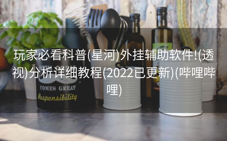 玩家必看科普(星河)外挂辅助软件!(透视)分析详细教程(2022已更新)(哔哩哔哩)