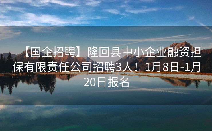 【国企招聘】隆回县中小企业融资担保有限责任公司招聘3人！1月8日-1月20日报名