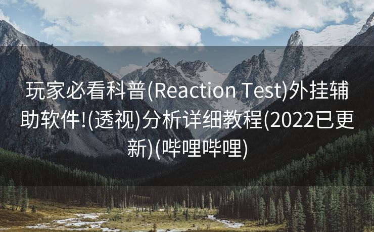 玩家必看科普(Reaction Test)外挂辅助软件!(透视)分析详细教程(2022已更新)(哔哩哔哩)