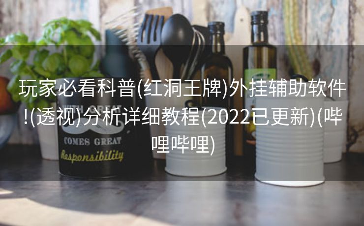 玩家必看科普(红洞王牌)外挂辅助软件!(透视)分析详细教程(2022已更新)(哔哩哔哩)