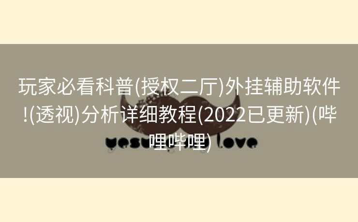 玩家必看科普(授权二厅)外挂辅助软件!(透视)分析详细教程(2022已更新)(哔哩哔哩)