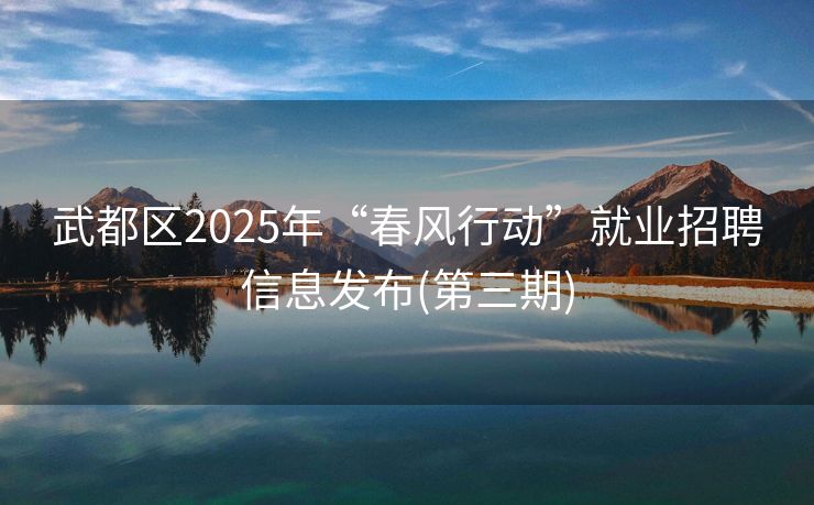 武都区2025年“春风行动”就业招聘信息发布(第三期)