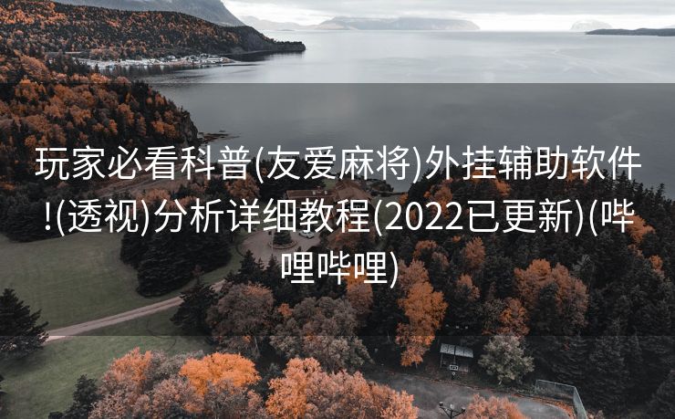 玩家必看科普(友爱麻将)外挂辅助软件!(透视)分析详细教程(2022已更新)(哔哩哔哩)