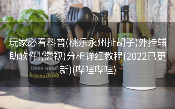 玩家必看科普(桃乐永州扯胡子)外挂辅助软件!(透视)分析详细教程(2022已更新)(哔哩哔哩)