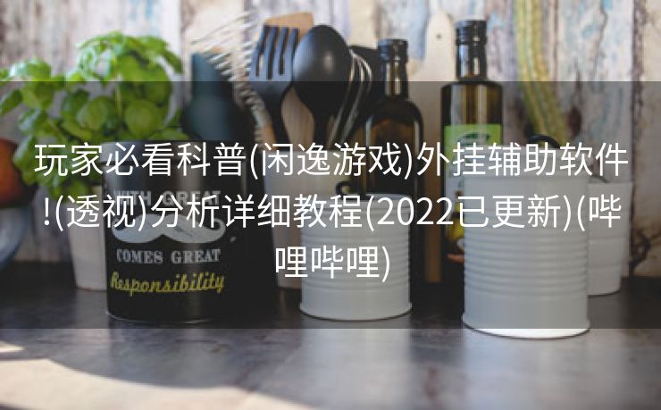 玩家必看科普(闲逸游戏)外挂辅助软件!(透视)分析详细教程(2022已更新)(哔哩哔哩)
