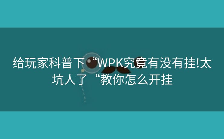 给玩家科普下“WPK究竟有没有挂!太坑人了“教你怎么开挂