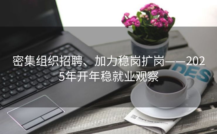 密集组织招聘、加力稳岗扩岗——2025年开年稳就业观察