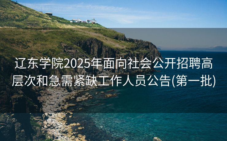 辽东学院2025年面向社会公开招聘高层次和急需紧缺工作人员公告(第一批)