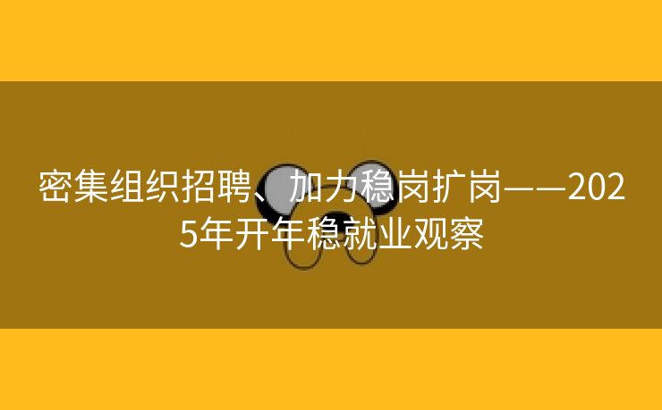 密集组织招聘、加力稳岗扩岗——2025年开年稳就业观察