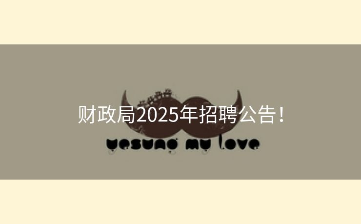 财政局2025年招聘公告！