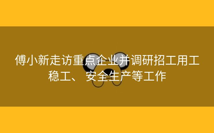 傅小新走访重点企业并调研招工用工稳工、 安全生产等工作