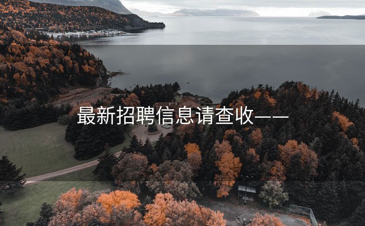 最新招聘信息请查收——