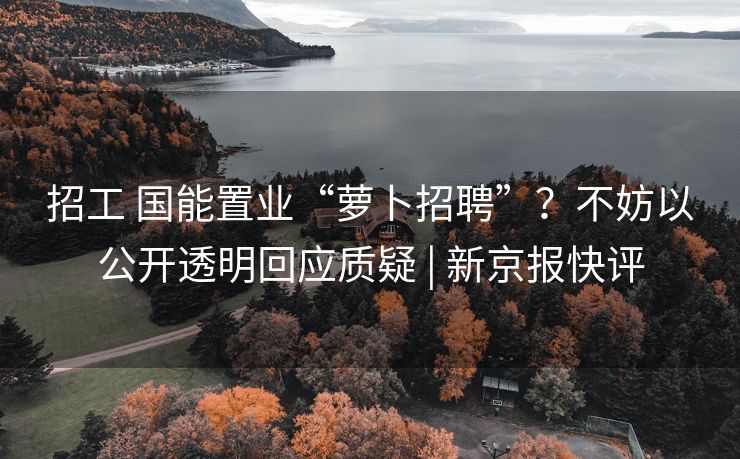 招工 国能置业“萝卜招聘”？不妨以公开透明回应质疑 | 新京报快评