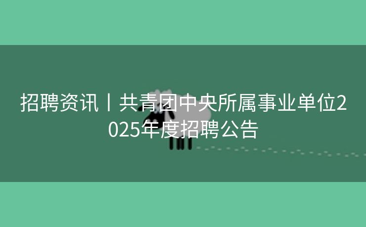 招聘资讯丨共青团中央所属事业单位2025年度招聘公告