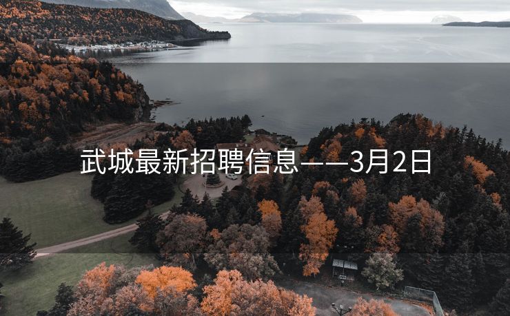 武城最新招聘信息——3月2日