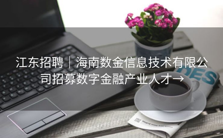 江东招聘｜海南数金信息技术有限公司招募数字金融产业人才→